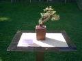 image00013